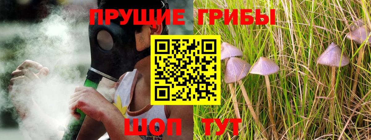 продажа наркотиков  Галлюциногенные грибы GOLDEN TEACHER  Вход с VPN  Пенза 